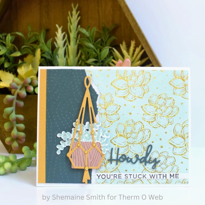 Deco Foil So Succulent cartes à foiler A2 x8